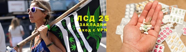 ПСИЛОЦИБИНОВЫЕ ГРИБЫ Абаза