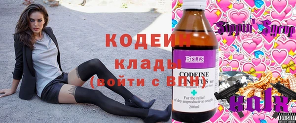 метадон Алексин