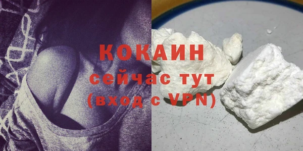 ПСИЛОЦИБИНОВЫЕ ГРИБЫ Абаза