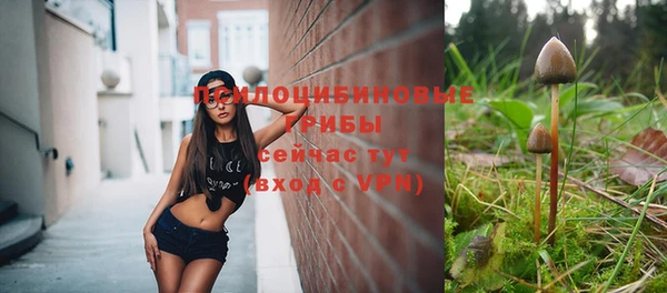 ПСИЛОЦИБИНОВЫЕ ГРИБЫ Абаза