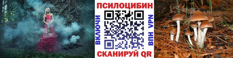 Псилоцибиновые грибы Psilocybe Ангарск